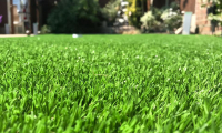 Savanna Artificial Grass 2018