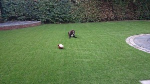 bahamas garden artificial grass 4